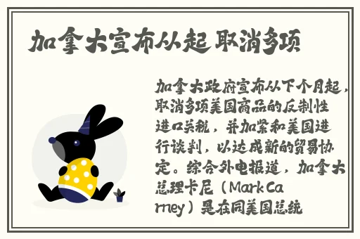 爱青岛视频在线观看